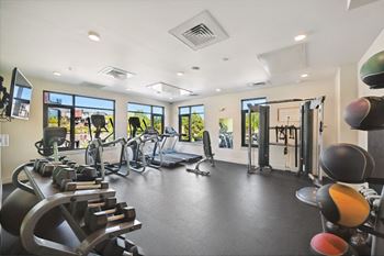 Gym with treadmills and other exercise equipment